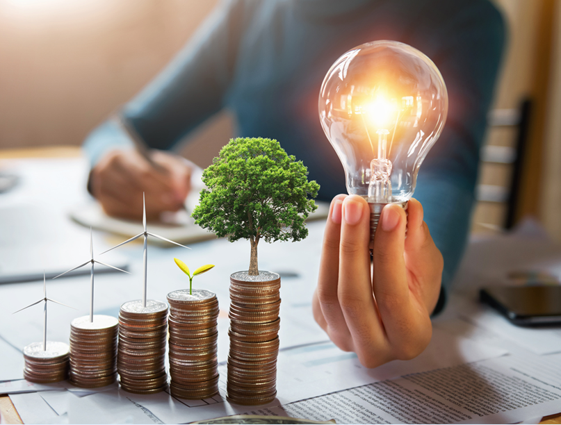 Education Investment